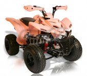 2010 BamX BX200-S Charger photo